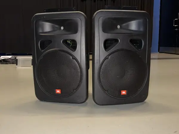 Lavamonitori /2 way speaker