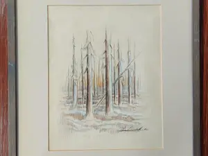 Taulu, Metsä (14)