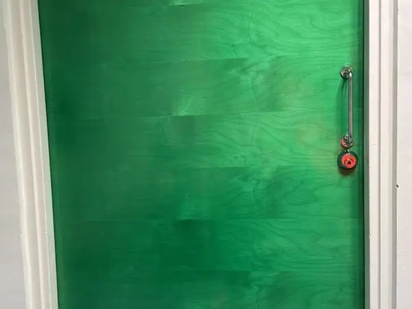 Ovi (nro 1) tila D1 Patologia 217