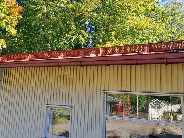 Lumiesteet ja räystäskourut R1