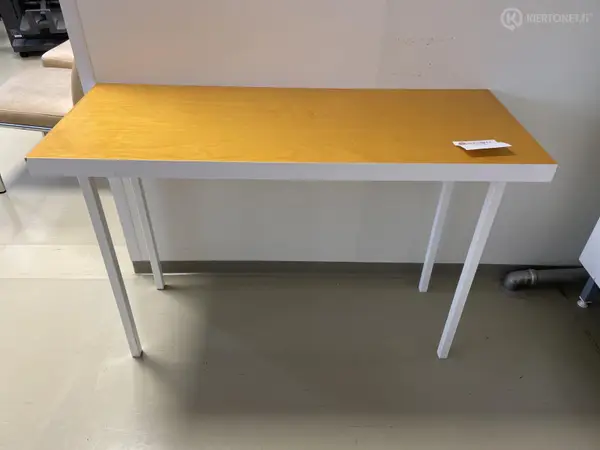 Kapeat pöydät 2 kpl (nro 338) tila E2 Kipupoliklinikka 166