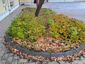 Reunakivet 1metri 23kpl RK1