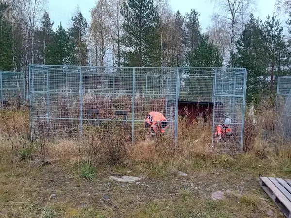 Koirahäkki (nro 3)
