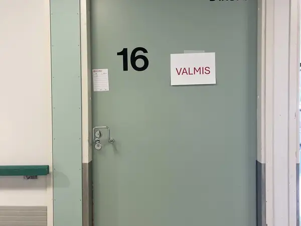 Ovi (nro 82) tila D1 vuodeosasto 187B