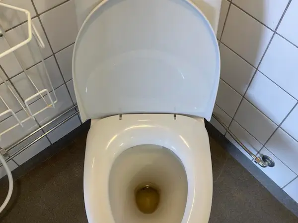 WC-kalusteet (nro 331) tila D5 092