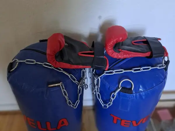 Kaksi nyrkkeilysäkkiä ja hanskat