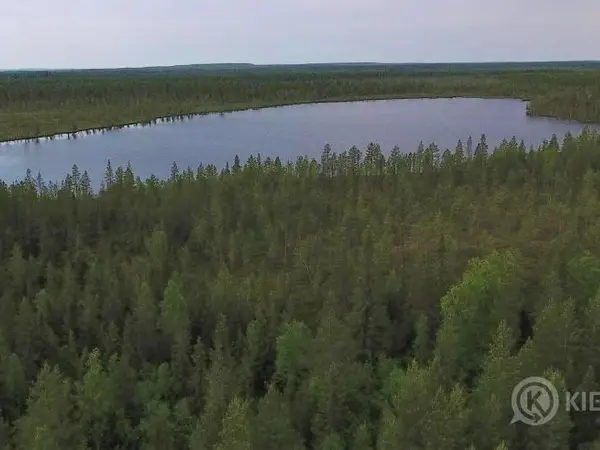 Posio Matalalampi puolenhehtaarinmetsä eniten tarjoavalle! *rantapaikka rinkansija teltantila Lappi