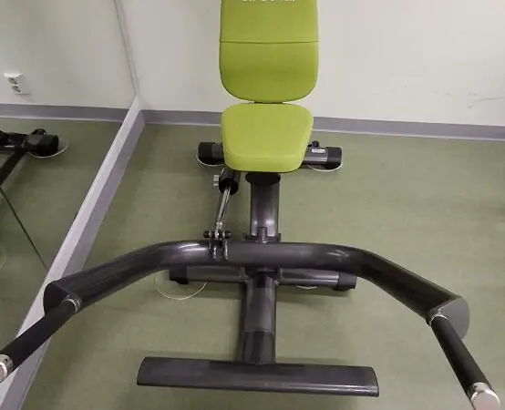 Laite käden ojentajalihaksille GYM80