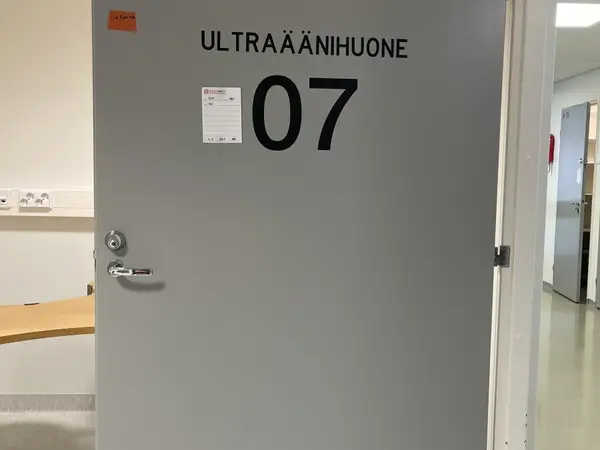Ovi (nro 229) tila D1 synnytyssalit 085