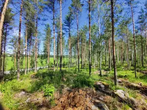 Omakotitontteja Hausjärven Hikiällä