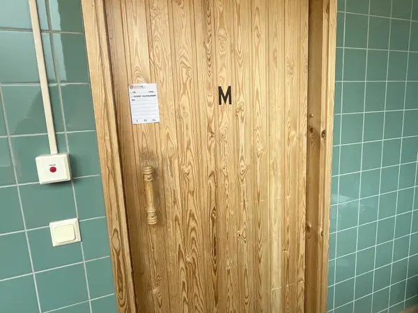 Puinen kylpyhuoneen ovi (nro 113) tila E1 Fysiatria 079A