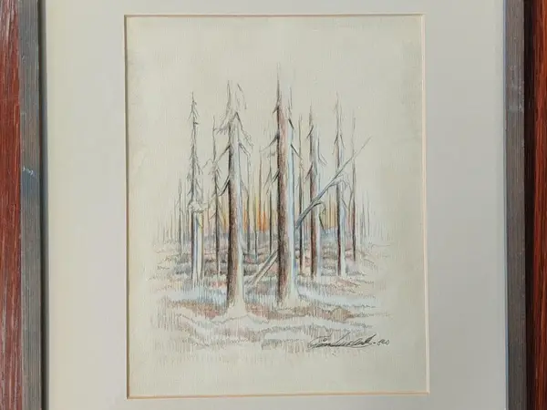 Taulu, Metsä (14)