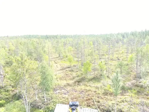 Pyhätunturi/Tunturikylä vierestä n.12ha tontti kelkkareitin varrelta *hyvät metsästys mahdollisuudet