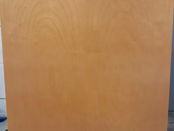 Seinäkaappi (nro 1309)