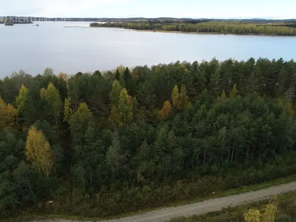 Rantatontti 3200m2 Hartolan Tippavaarassa , nro 2 / kortteli 2