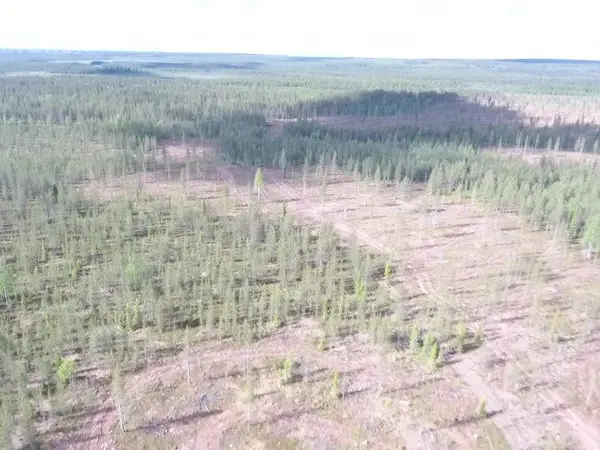 Molkojärvi Saariselkä  n.2ha määräala eniten tarjoavalle* puuhapalsta vaunuparkki hiilinielu Lappi