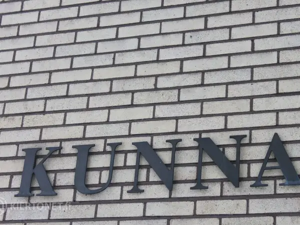 N -kirjain metallia