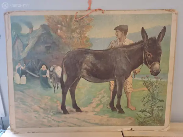 Tauluja