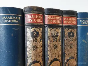 Maailmanhistoria teossarja nro 322