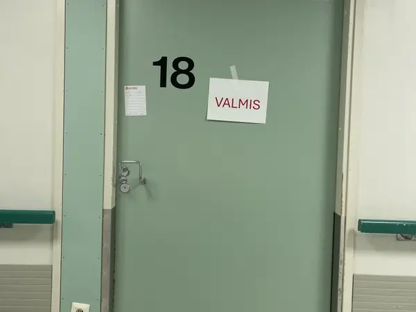 Ovi (nro 77) tila D1 vuodeosasto 185