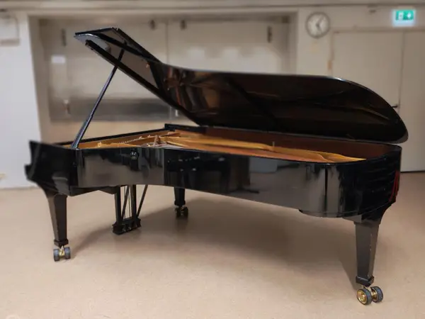 Konserttiflyygeli Steinway D