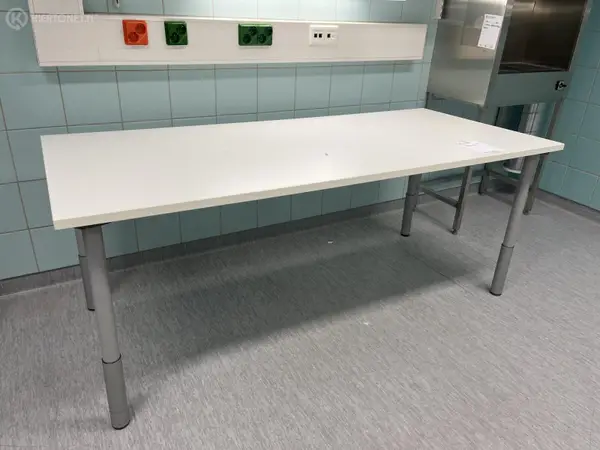 Pöydät 2 kpl (nro 260) tila E2 ortopedia 060