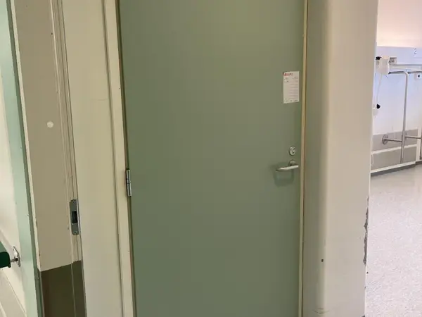 Ovi (nro 125) tila D1 vuodeosasto 187B