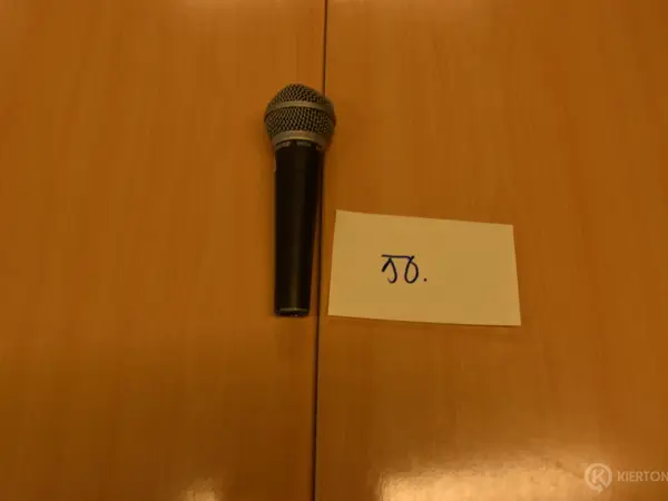 Laulumikrofoni (50)