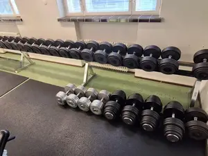 Leoko käsipainosarja telineineen