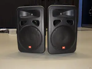 Lavamonitori /2 way speaker