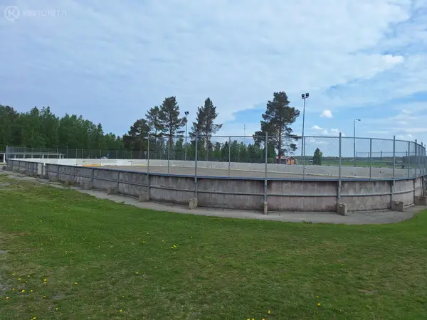 Jääkiekkokaukalo