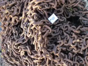 Metsätraktorin pyörän ketjut n:o 6 (pari)