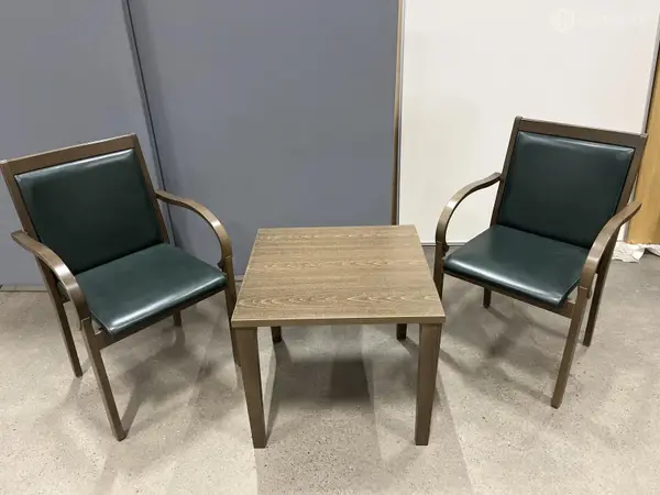 Isku nojatuolit + pöytä (nro 480) tila P Erä 5.