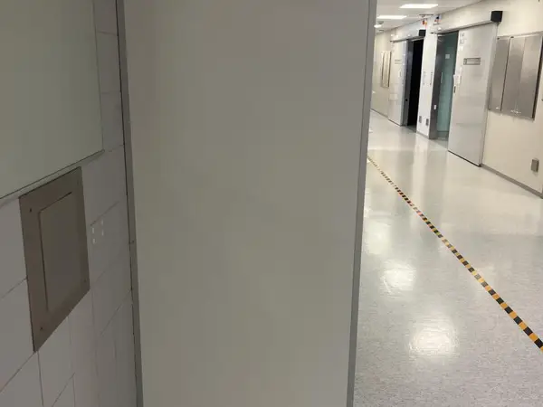 Sermit 2kpl (nro 256) tila D1 Leikkaussalit 345K