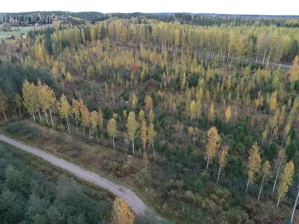 Paritalotontti 6000m2 Hartolan Tippavaarassa, nro 1 / kortteli 3