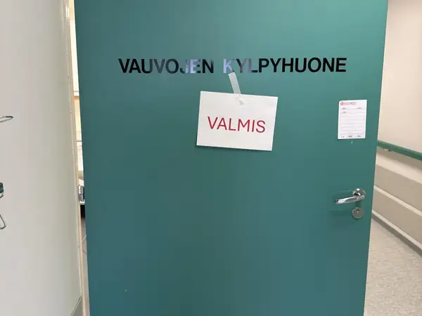 Ovi (nro 253) tila D1 vuodeosasto 161b