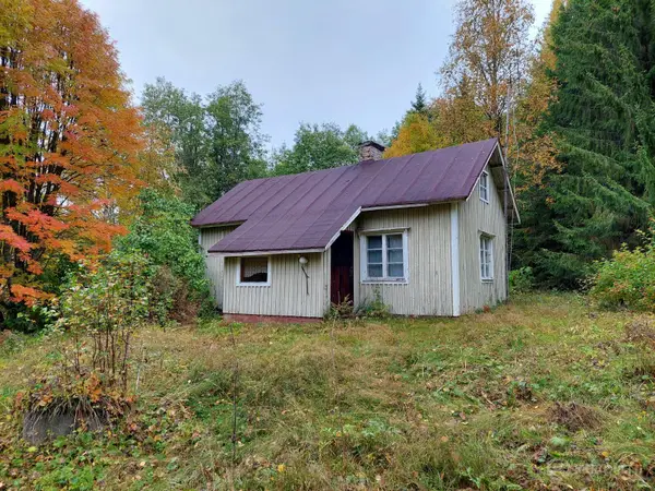 Myydään huutokaupalla kiinteistö järven rannalta