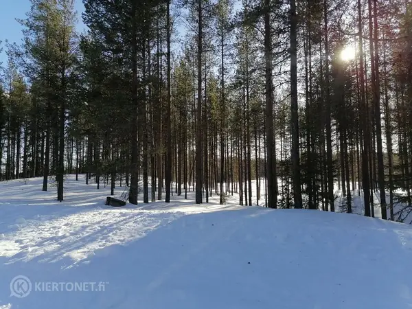 Pala Lappia eniten tarjoavalle * Levin & Kumputunturin läheisyydestä tienvierestä pelto/metsätontti