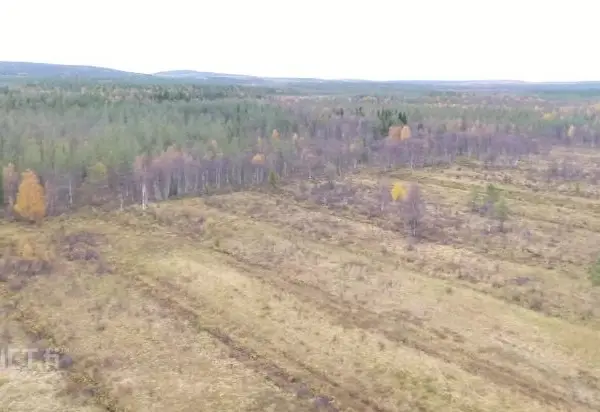 Salla Naruska määräala Lappi - tääl on tilaa, ei lopu happi! Eniten tarjoavalle * osuudet yhteisiin