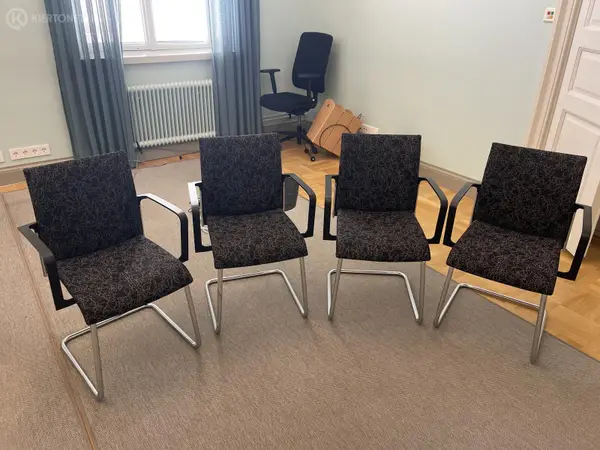 Piiroinen Dale tuolit 4 kpl (nro 465) tila 1. krs 3