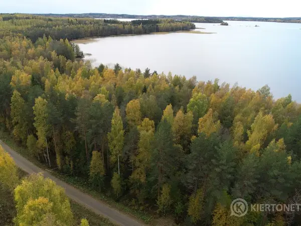 Rantatontti 3200m2 Hartolan Tippavaarassa, nro 4 / kortteli 1