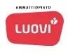 Ammattiopisto Luovi Oy