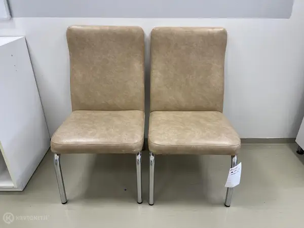 Nojatuolit 2 kpl (nro 279) tila E1 Röntgen 188